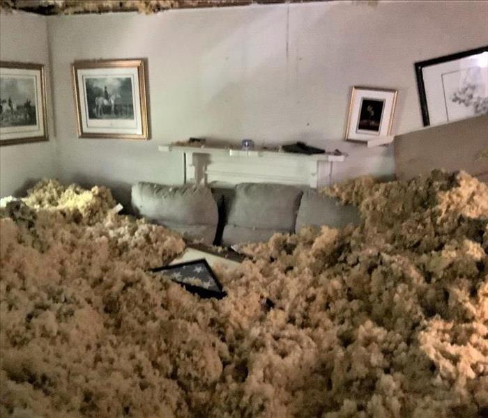 living room of house after ceiling collapse from fallen tree