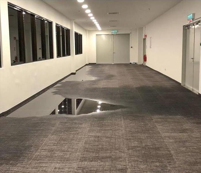 office building hallway with gray carpets with standing water damage